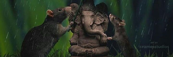OneDayVj's profile banner image