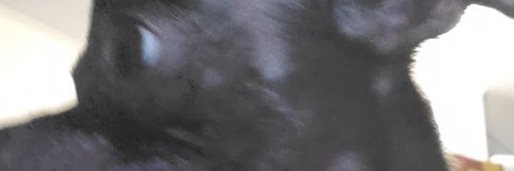 tec7705's profile banner image