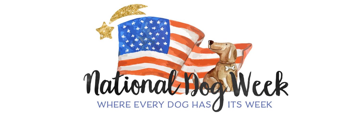 Lisa Begin-kruysman banner