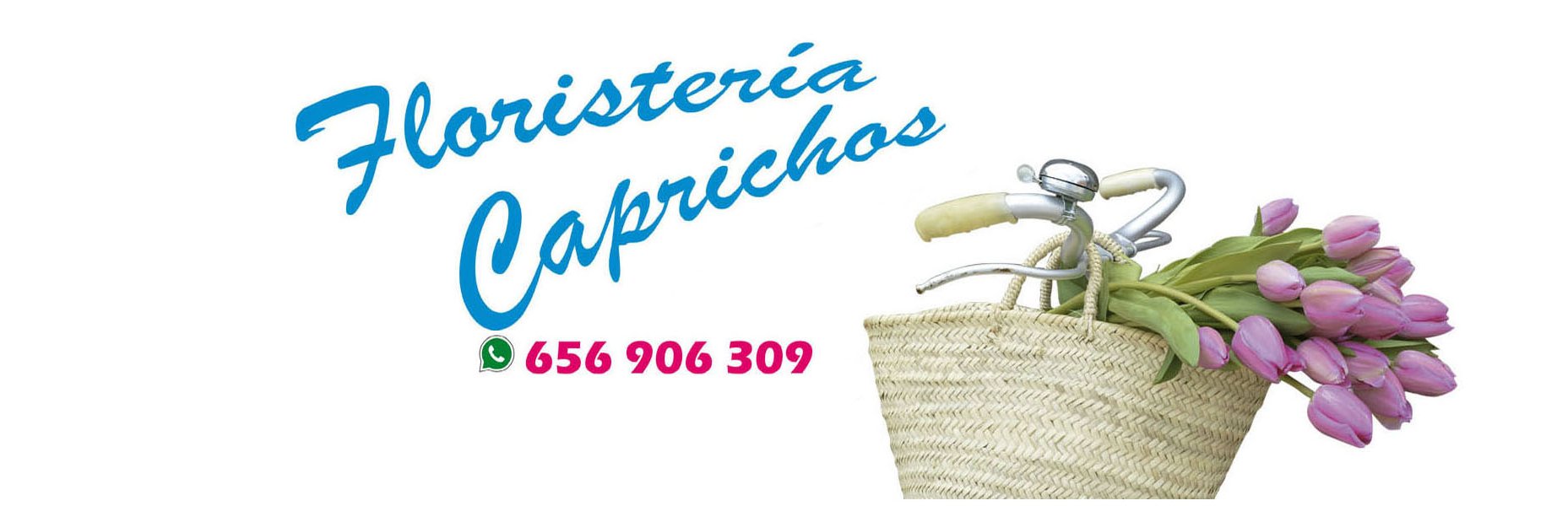 TIENDAdlFLORES's profile banner image