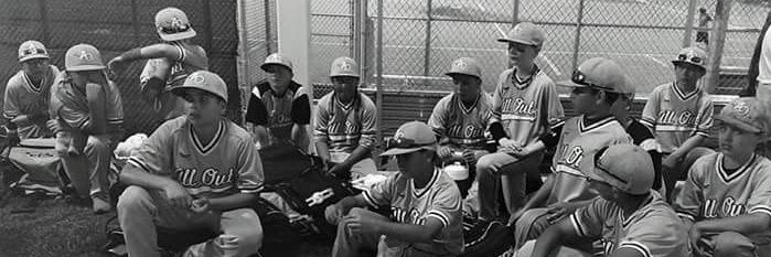 ⚾⚾All Out Baseball⚾⚾ banner