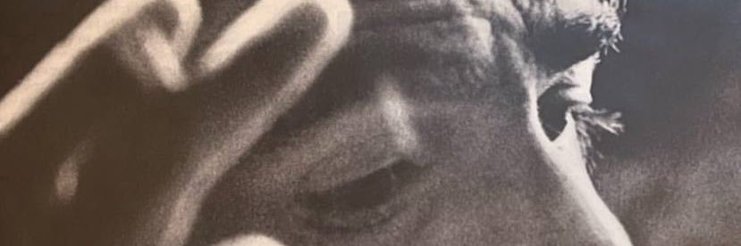 Cat kot 🇮🇷 banner