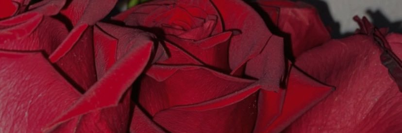 jmerly_'s profile banner image