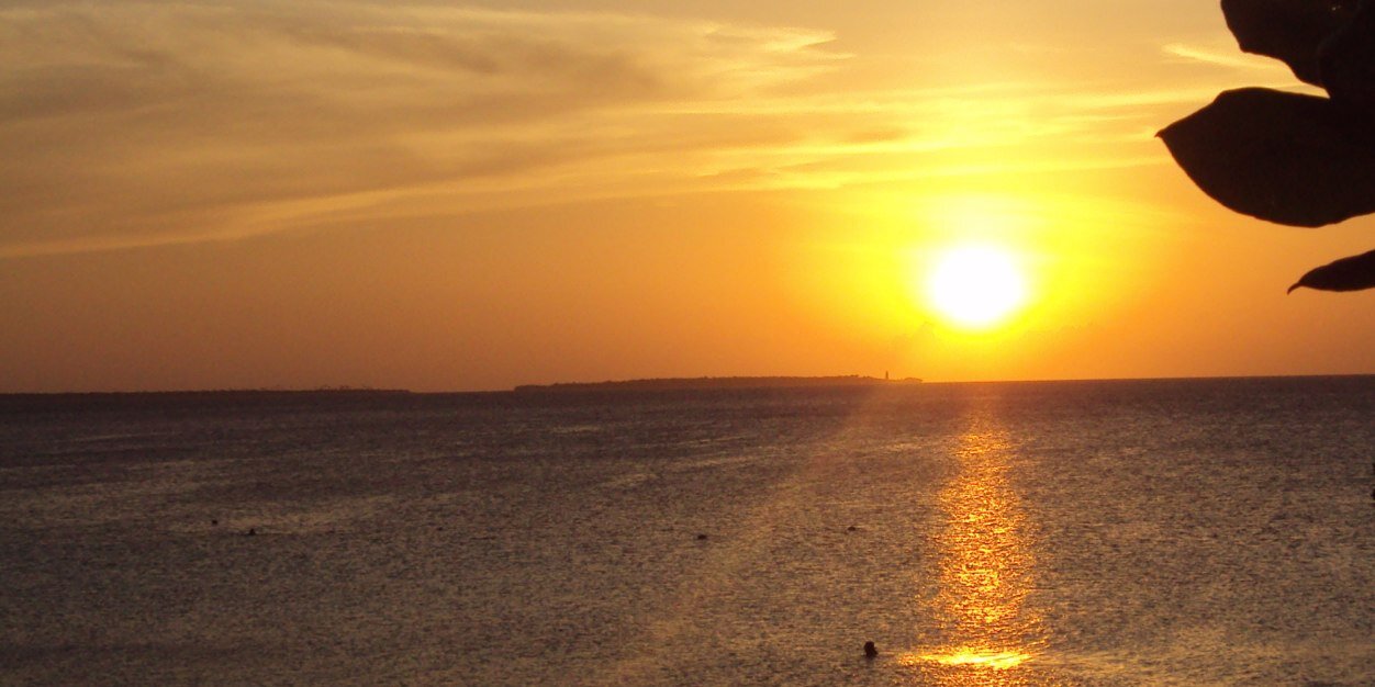 Maura Frusone banner