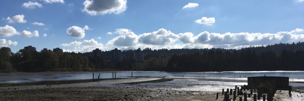 bohanerin's profile banner image