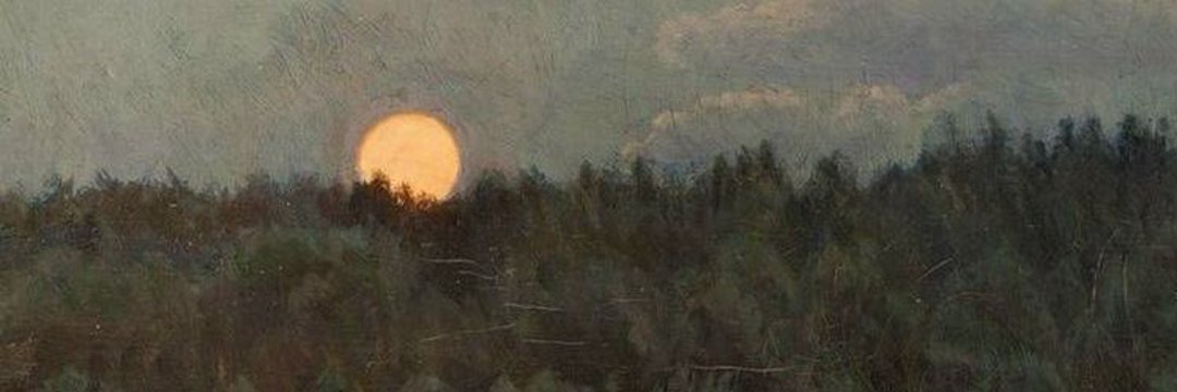 señorita impulsos banner