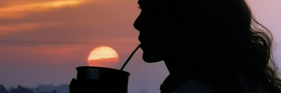 MeliScarponi's profile banner image