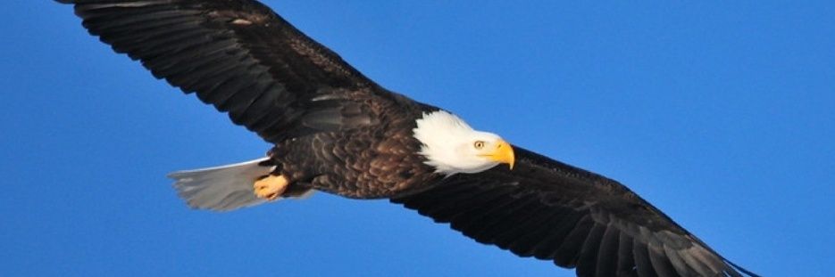 sokallel's profile banner image