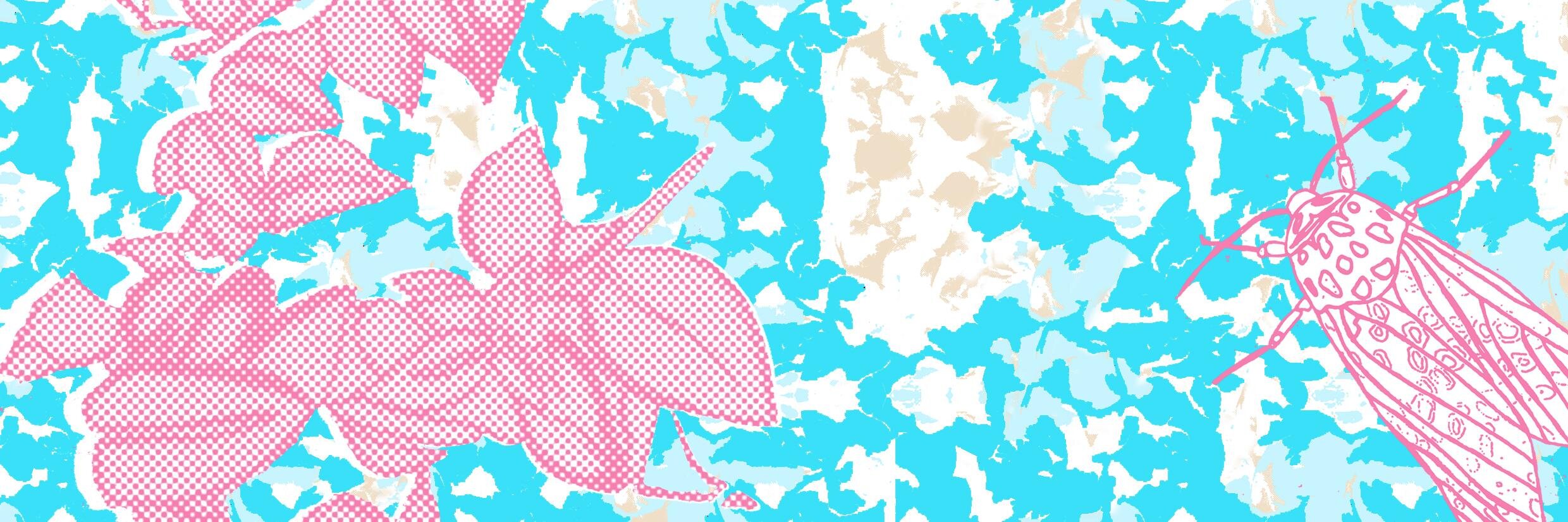 S H A N banner