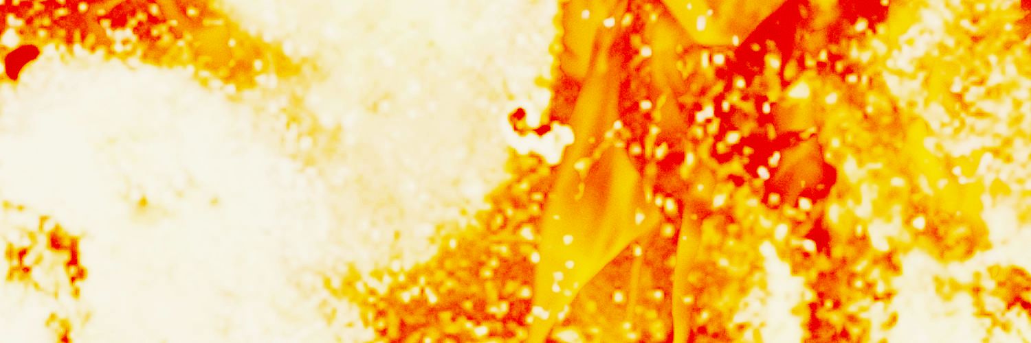 𝙏𝙝𝙚 𝙞𝙣𝙛𝙖𝙢𝙤𝙪𝙨 𝑯𝑶𝑻𝑺𝑻𝑼𝑭𝑭's banner