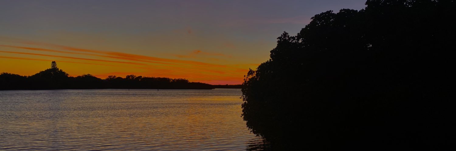 ciscox_'s profile banner image