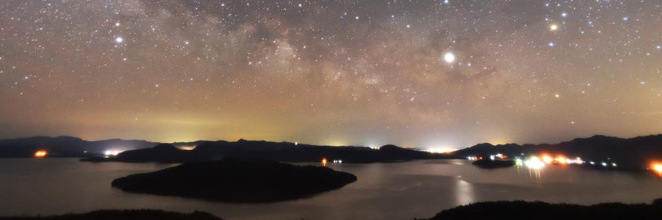 ぶどう banner