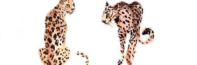 angieldear's profile banner image