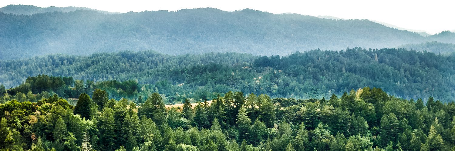 Giselle 🇩🇪🐱 banner