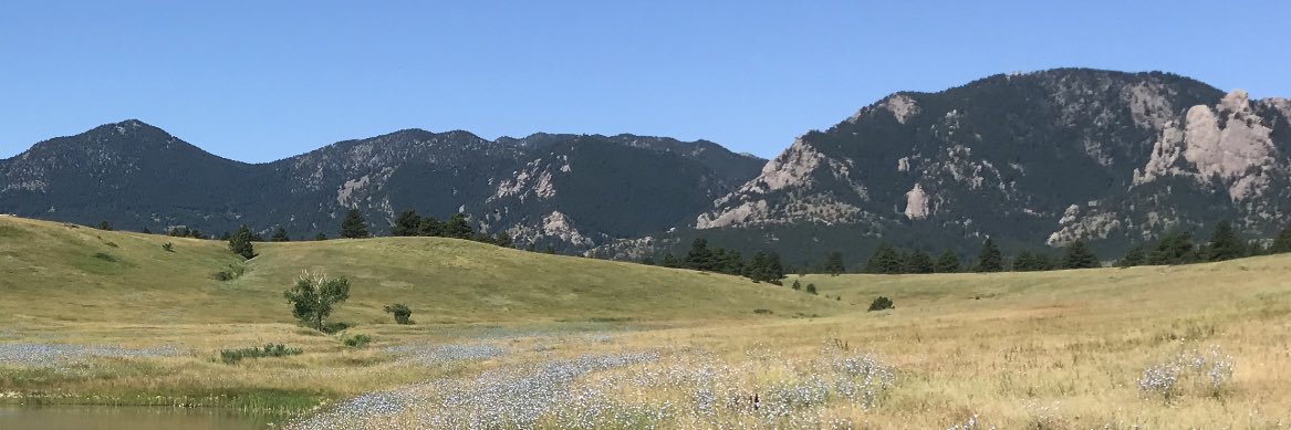 BuzzMcBain's profile banner image