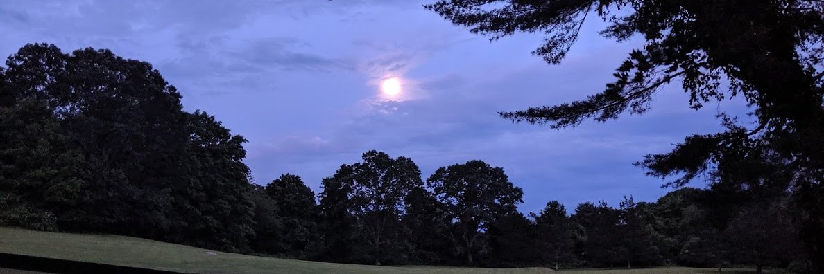 GroundedCommon's profile banner image