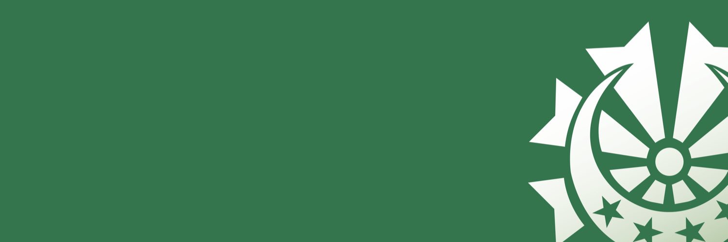 Union des Comores banner