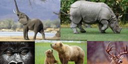 biodiverse's profile banner image