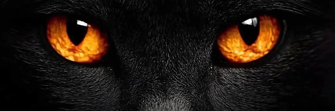 _Goddayd's profile banner image