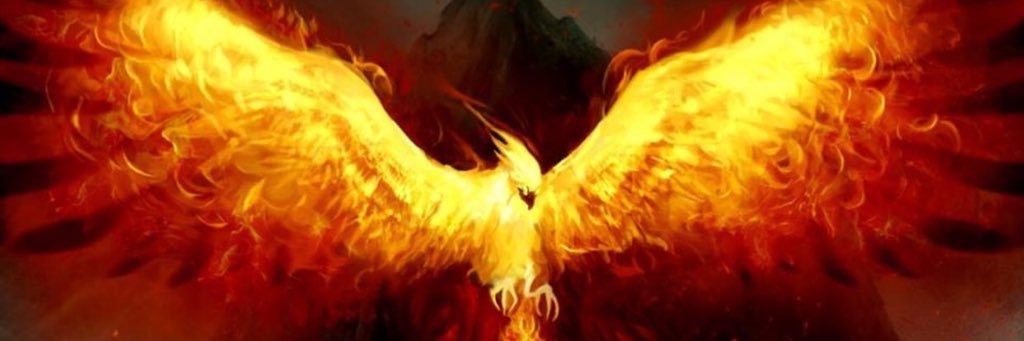biancoblack321's profile banner image