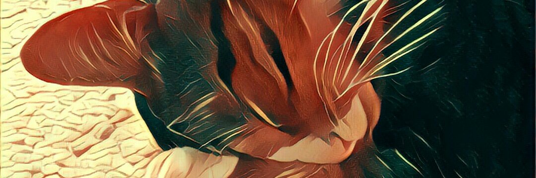 Catidge's profile banner image