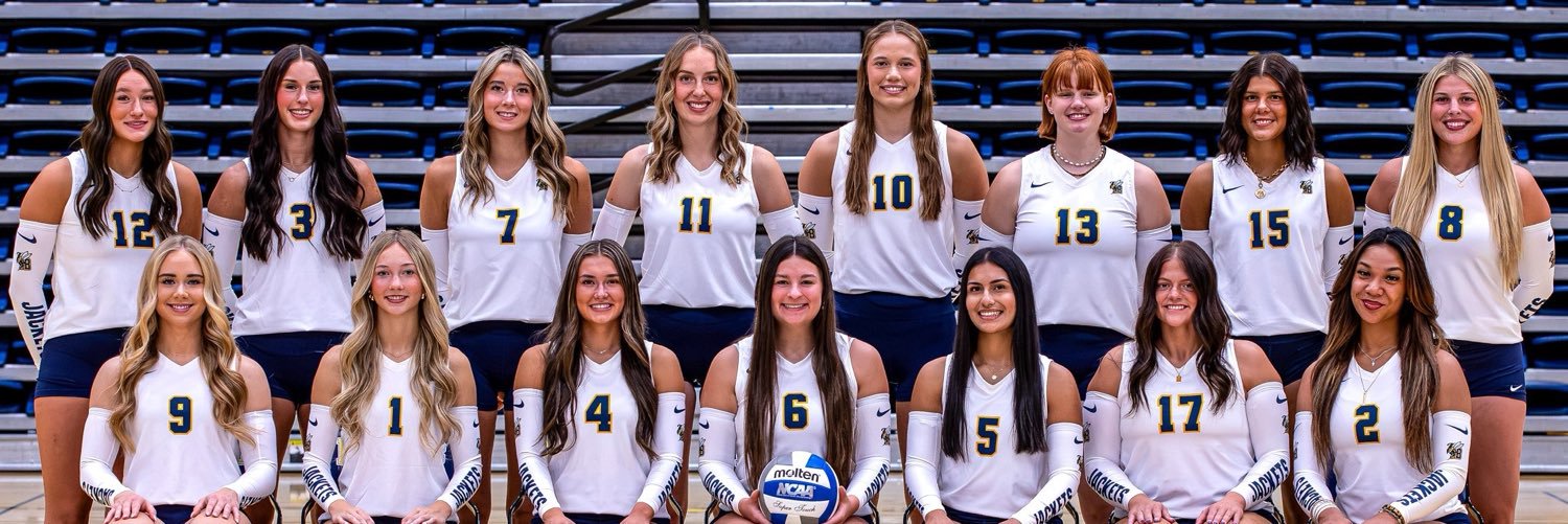MSUBVB's profile banner image