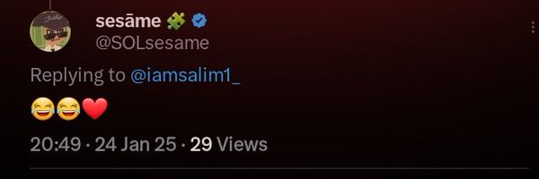 iamsalim1_ Profile Banner