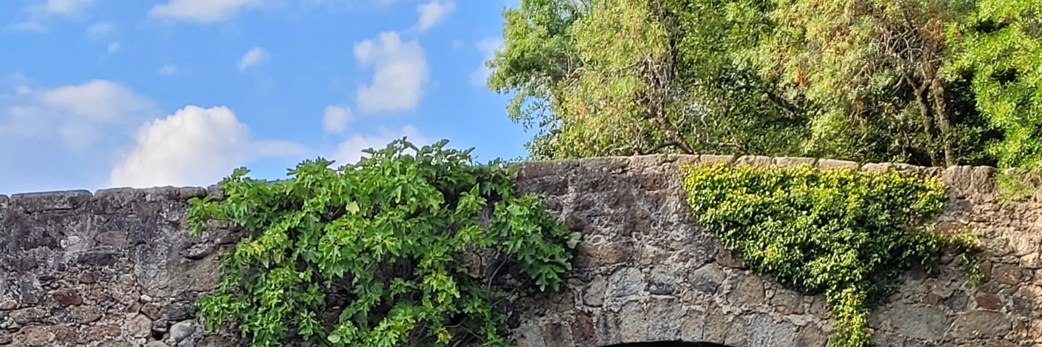 JesJimGom's profile banner image