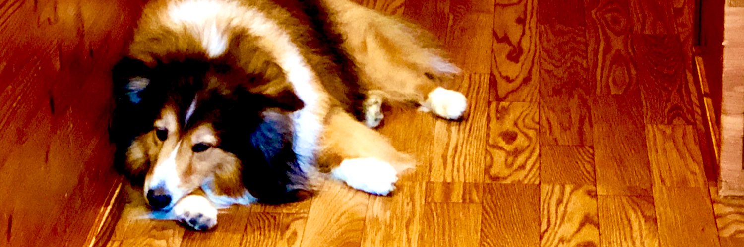athos0220's profile banner image