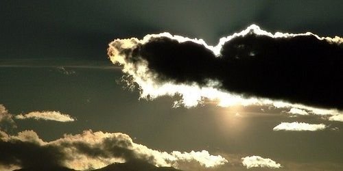 luv_polly's profile banner image