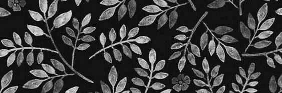 cambaptista's profile banner image