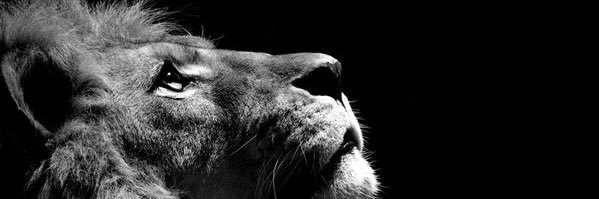 JMFG7's profile banner image