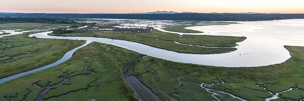 Puget Sound Partnership banner