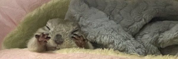 tia0c Profile Banner