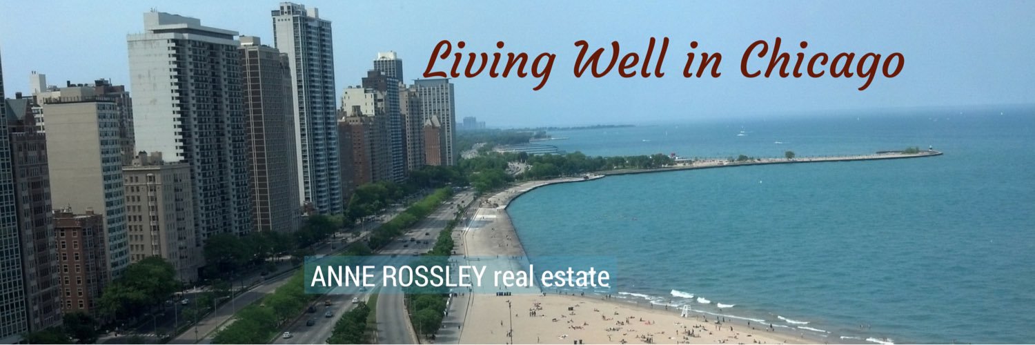 AnneRossley's profile banner image