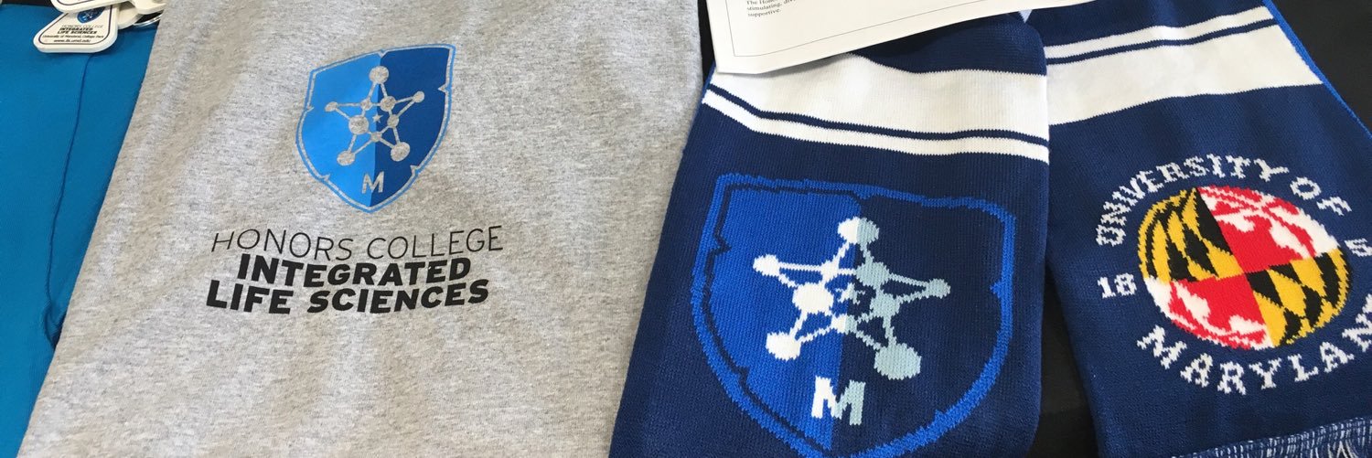 ILS_UMD's profile banner image