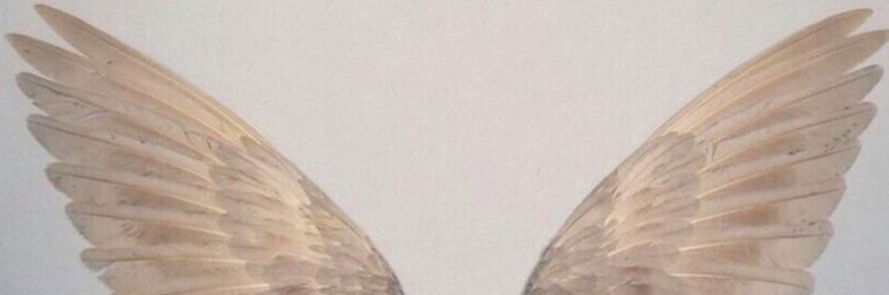 Mnoy335's profile banner image