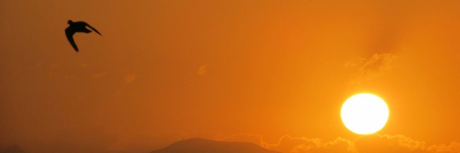 Mari_Ramos_'s profile banner image