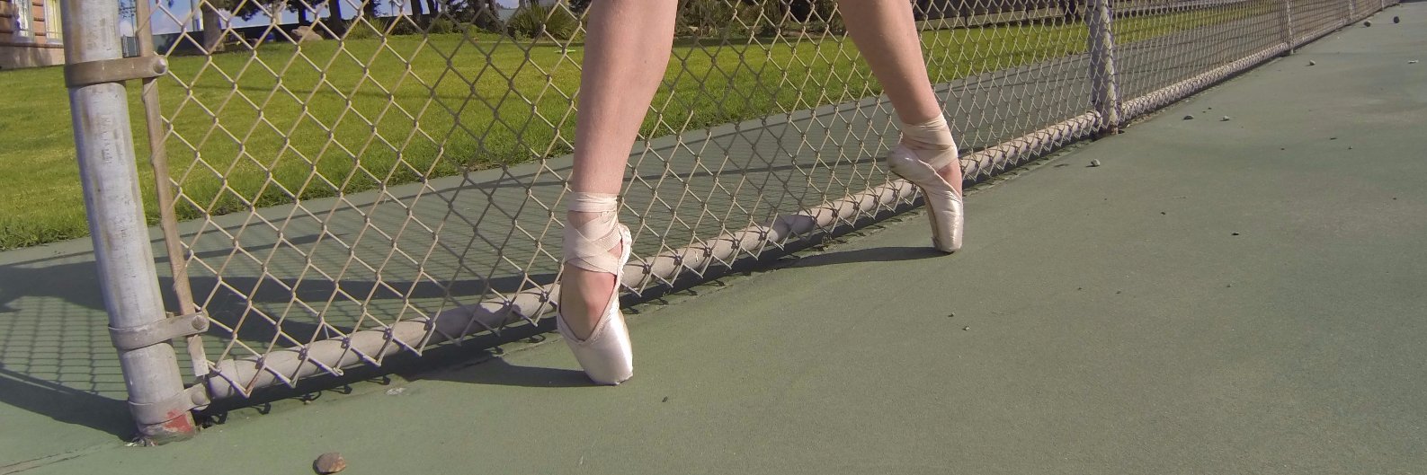 Graceonpointe's profile banner image