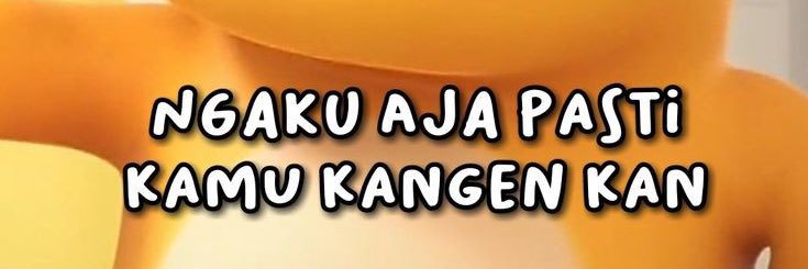 sya banner