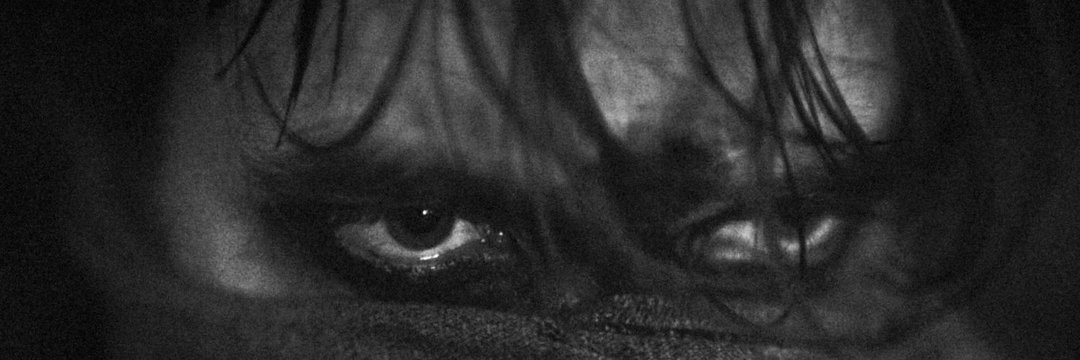 spiderbatima's profile banner image