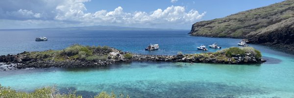 RaaijmakersJM Profile Banner