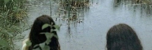 veronicaetera's profile banner image