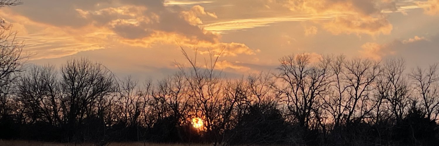 Sara Resists MAGA 🟧 🌊🇺🇸🇺🇦 banner