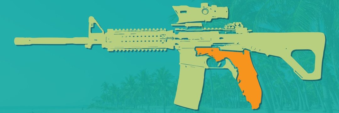 Florida Gun Rights banner