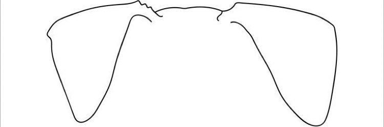 gomezbnacho's profile banner image