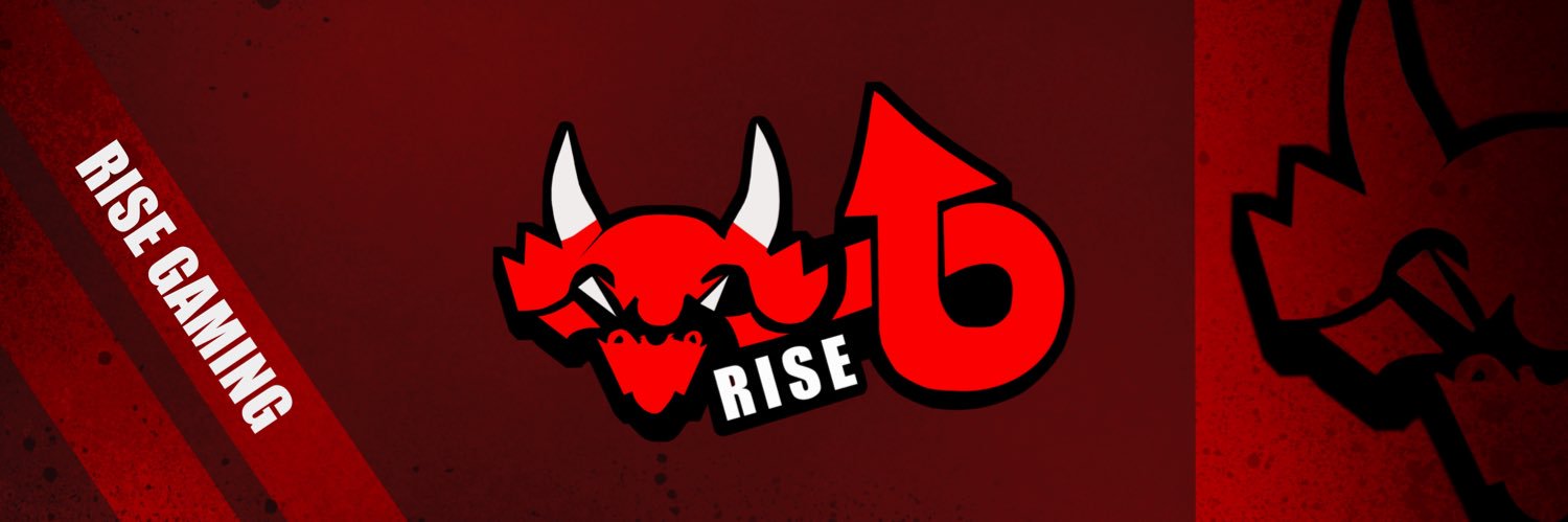 Team RISE 🇺🇸 banner