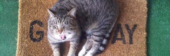 addison rae pride banner