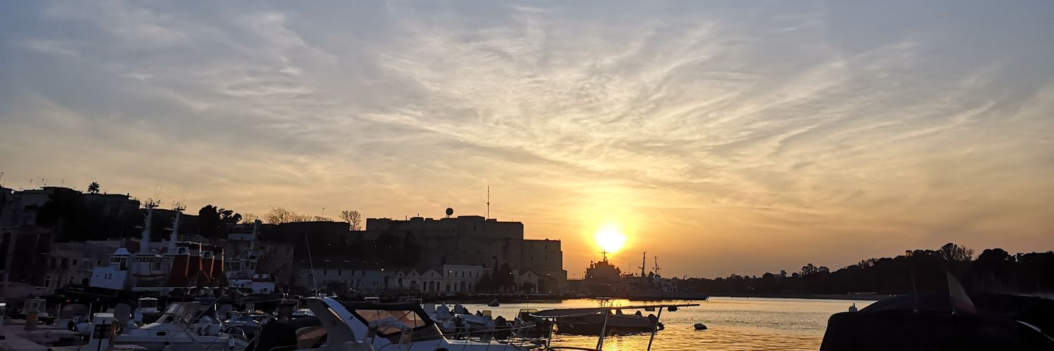 liaancora's profile banner image