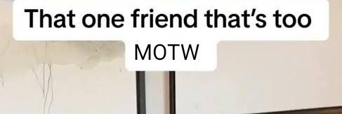 the timsasha guy banner